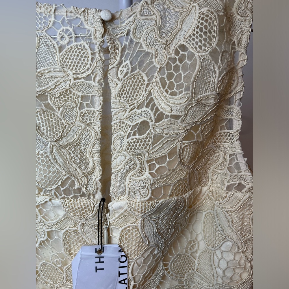 Dress The Population NWT Avianna Rose Lace Dress in Cream - Picture 4 of 6